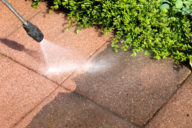 Best Roof Pressure Washing  in Greenbriar, VA